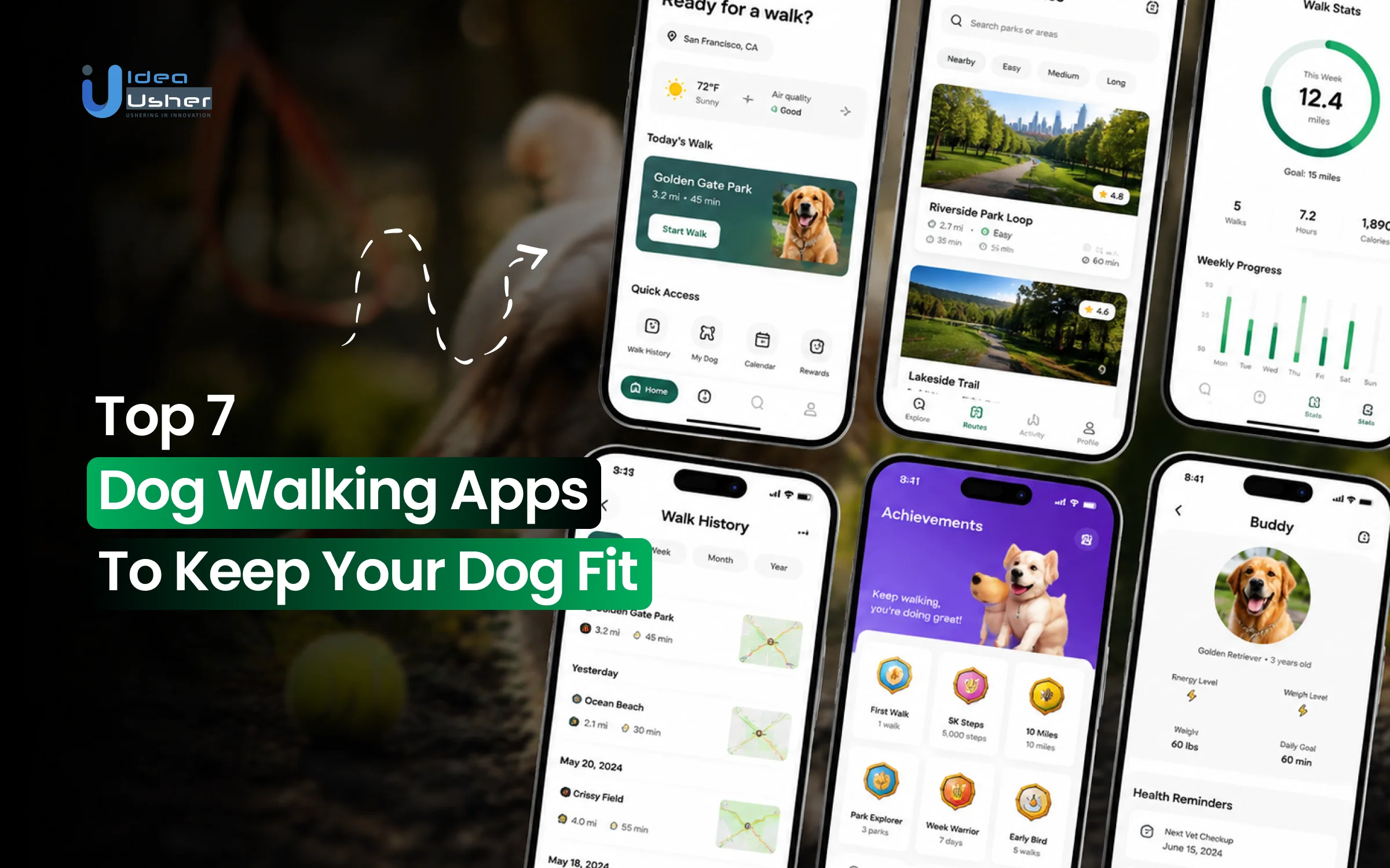 dog walking apps development