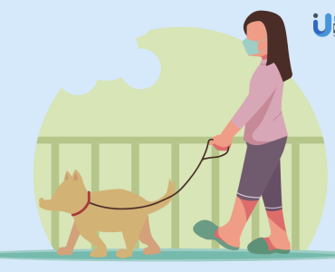 Dog Walking Apps
