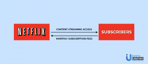 Online streaming platform such as Netflix