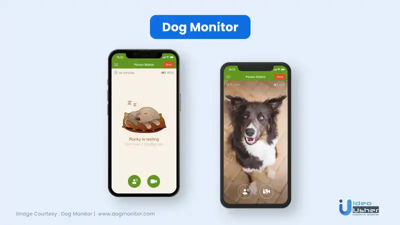 DogMonitor App