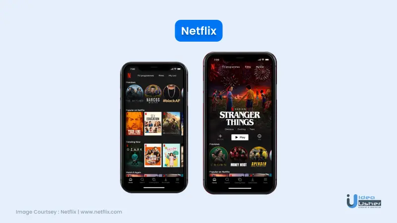 Netflix interface