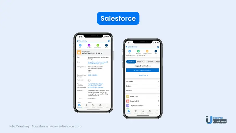 Salesforce interface