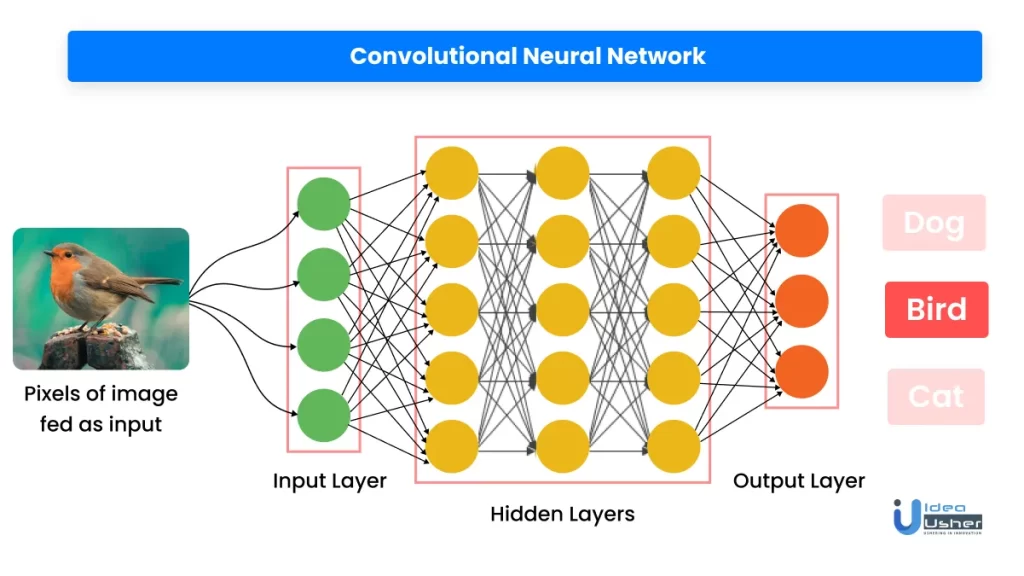 convolutional neural network