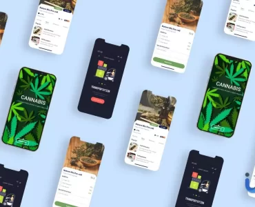 5 things to know before building cannabis delivery app