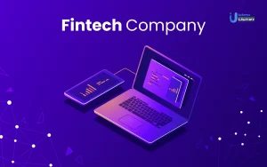 Fintech company 2023