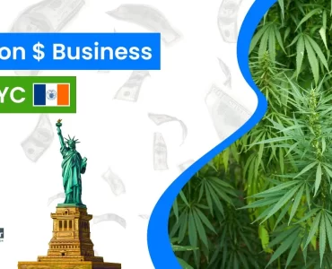 Online Marijuana delivery app in NYC