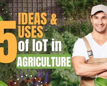 Top 15 Ideas & Uses Of IoT In Agriculture