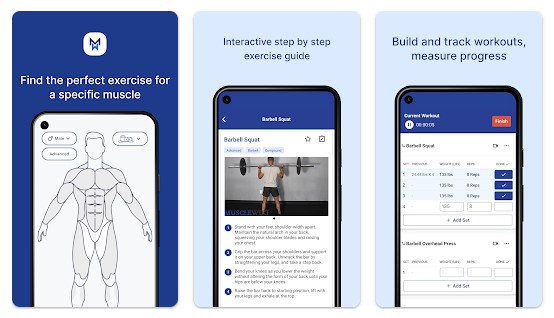 musclewiki app