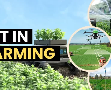 IoT in agriculture