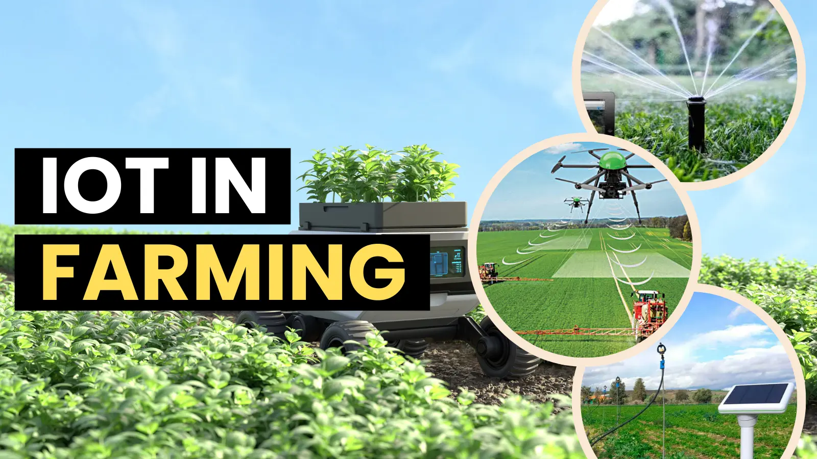 IoT in agriculture