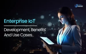 Enterprise IoT