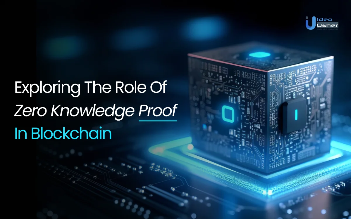 Zero Knowledge Proof in Blockchain