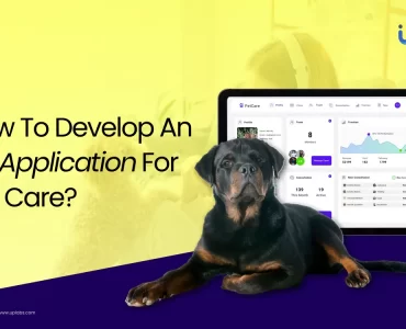 How To Develop An IOT Application For Pet Care?