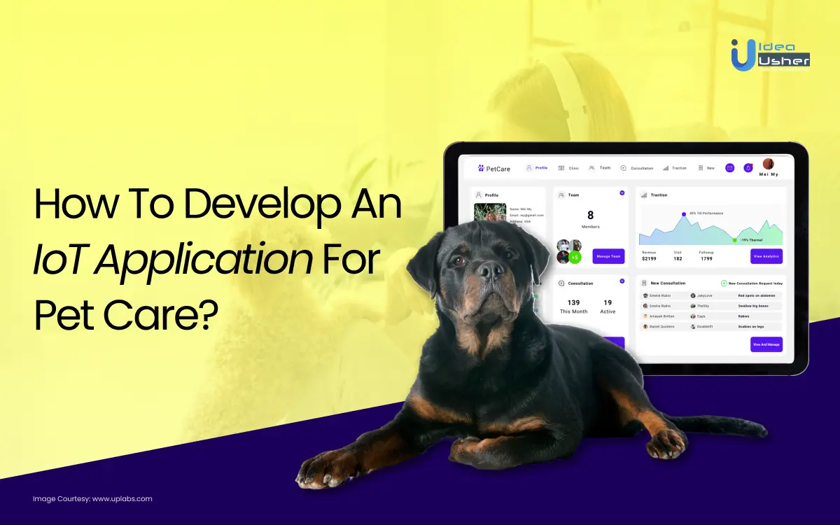 How To Develop An IOT Application For Pet Care?