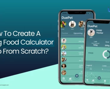 Create a Dog Food Calculator App