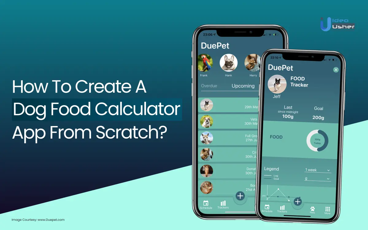 Create a Dog Food Calculator App