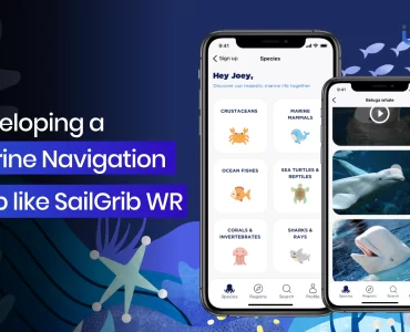 Develop a Marine Navigation App like SailGrib WR