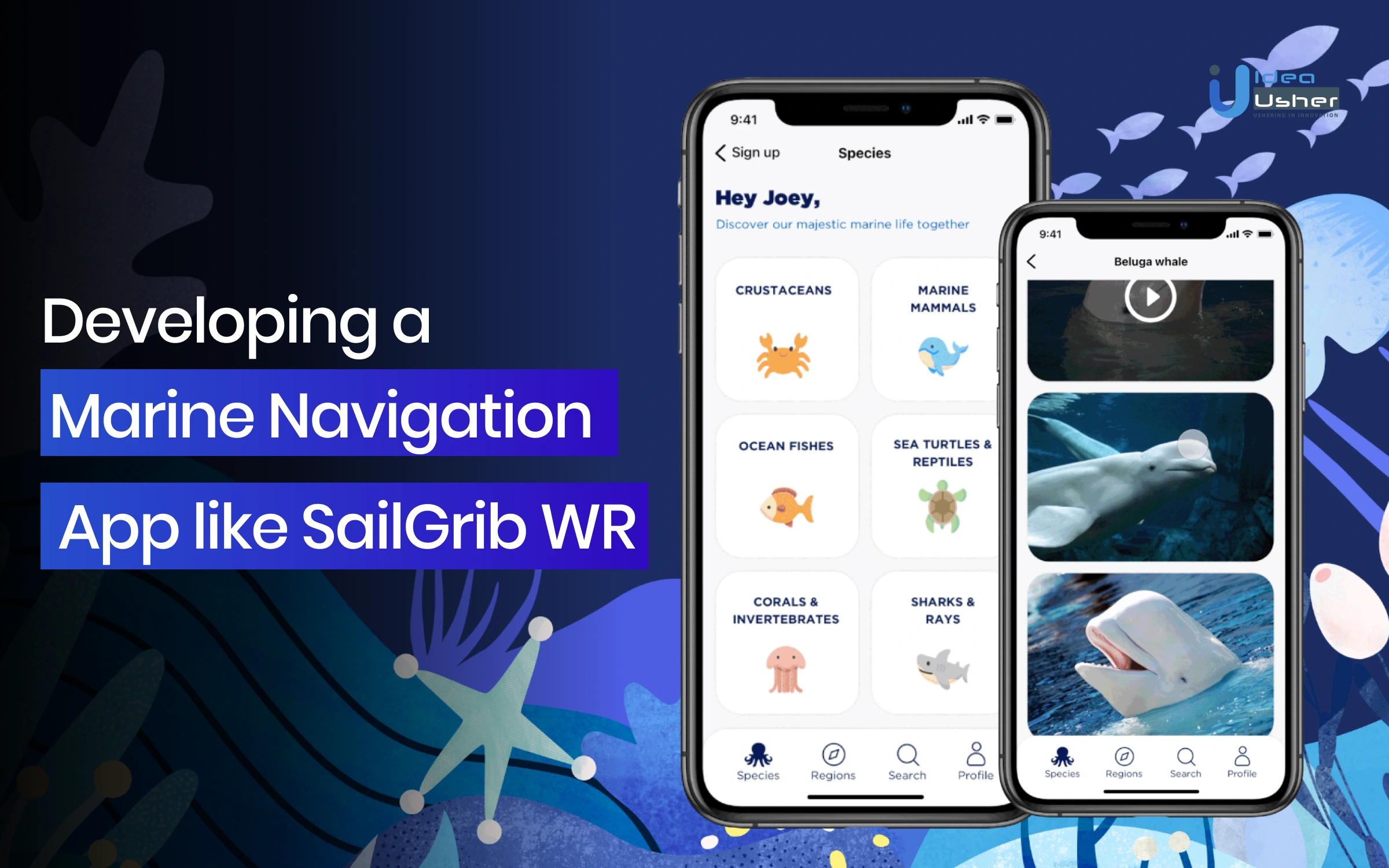 Develop a Marine Navigation App like SailGrib WR