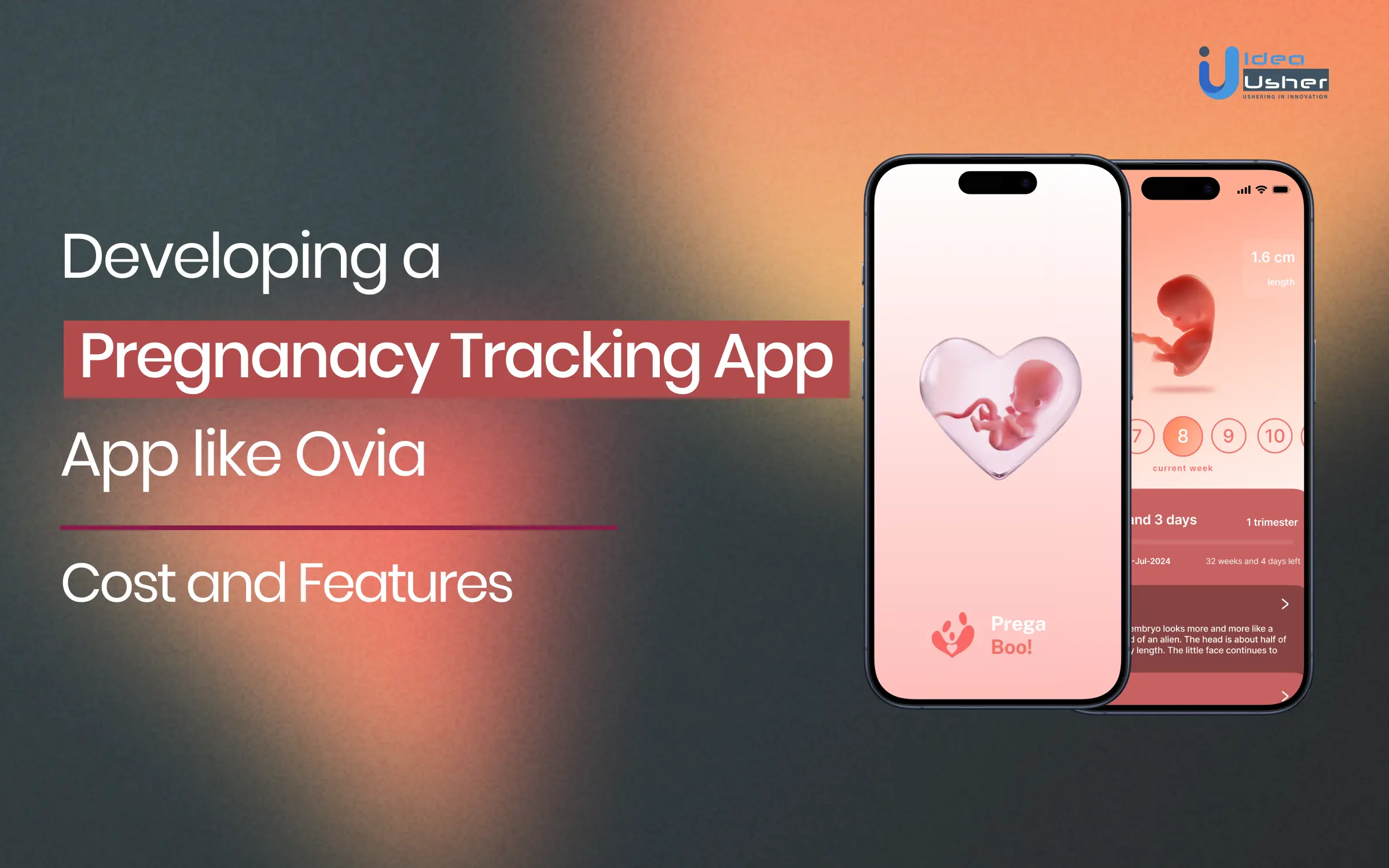 Developing a Pregnancy Tracking App like Ovia