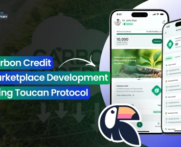 Carbon Credit Marketplace Development Using Toucan Protocol