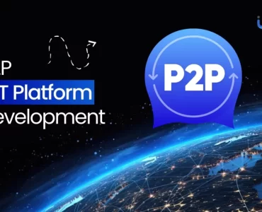 P2P IoT Platform Development - Cost and Features