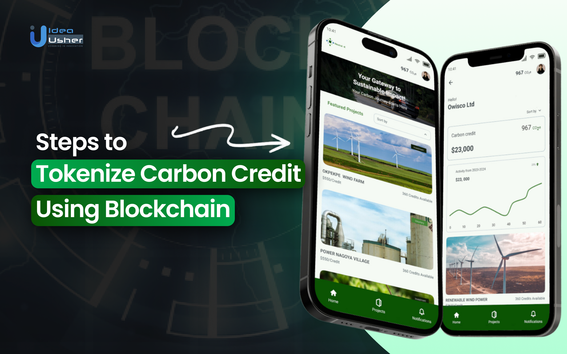 Steps to Tokenize Carbon Credits Using Blockchain