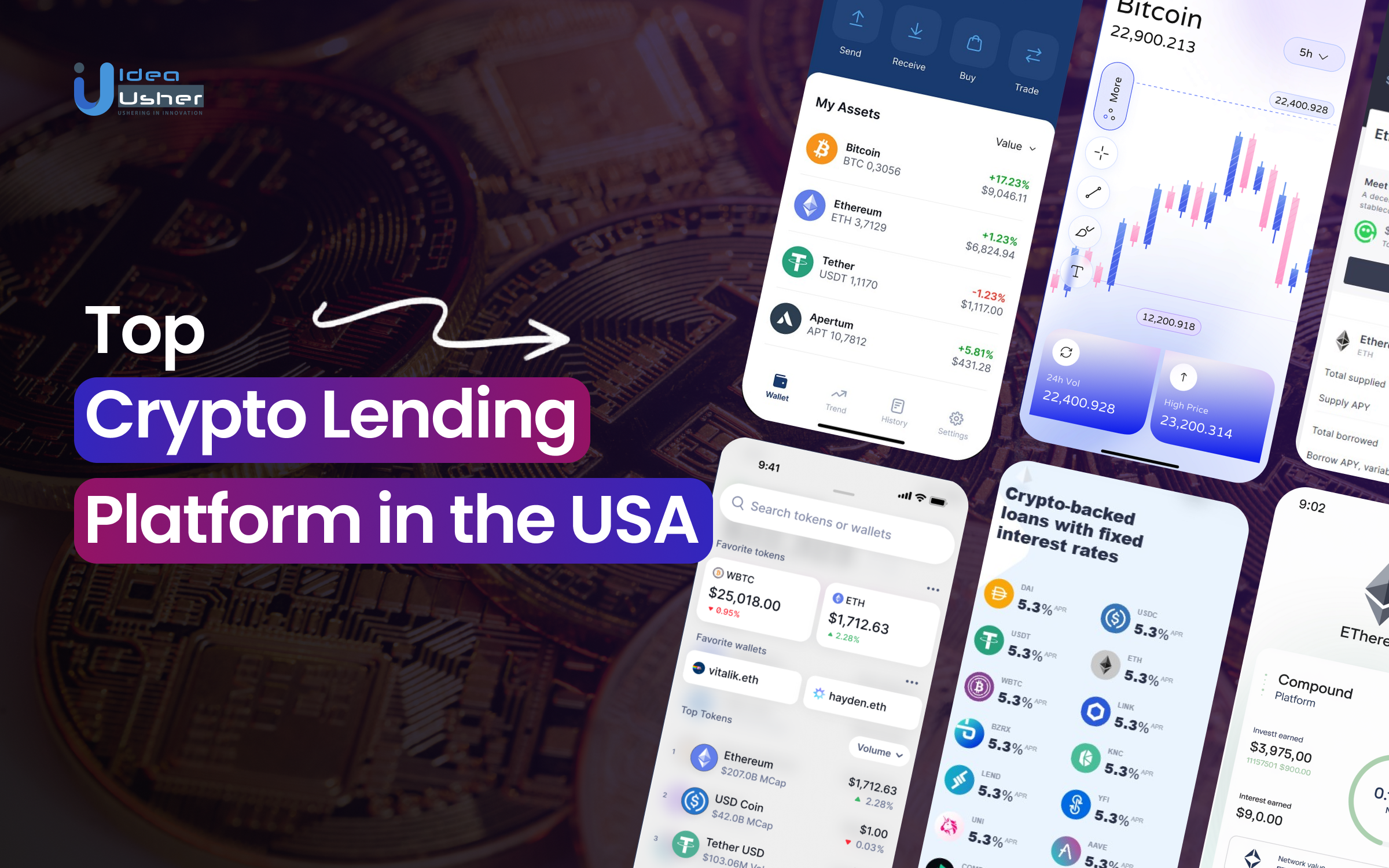 Top Crypto Lending Platforms in the USA