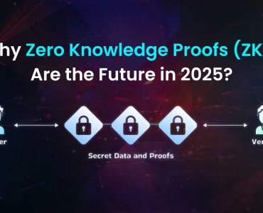 Zero-Knowledge Proofs and Protocols in Blockchain