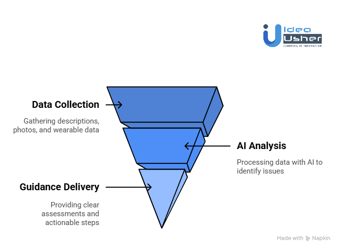 How Does the DaisyPet App Work?