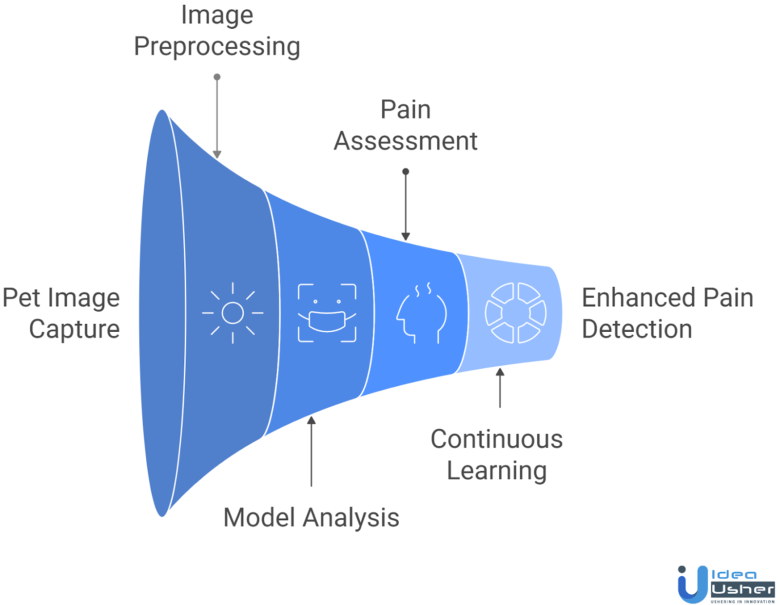 AI pet pain detection app working process