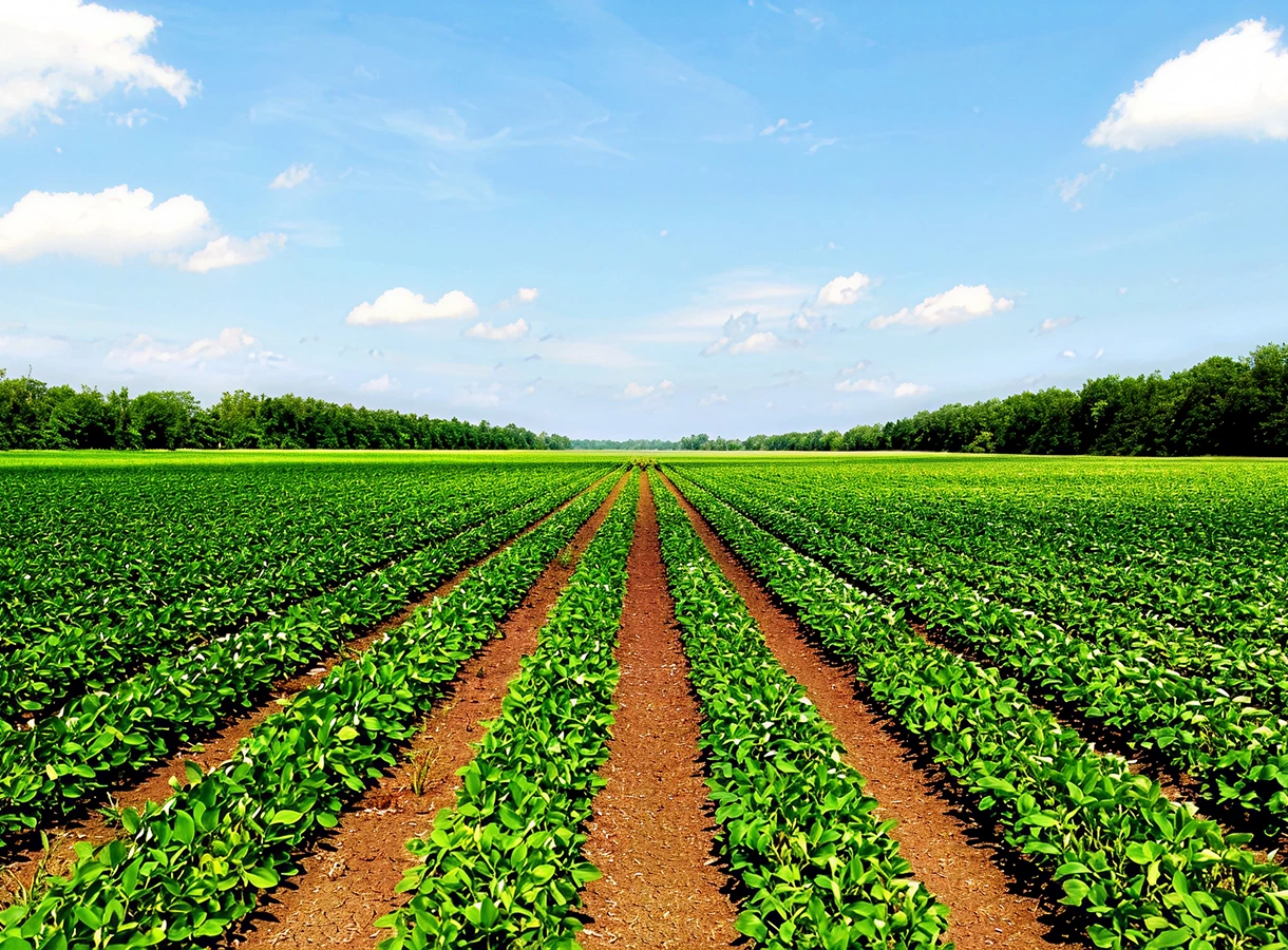 Agricultural Land Tokenization