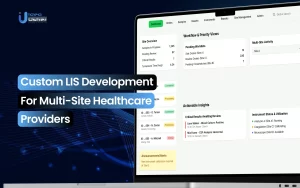 custom LIS development