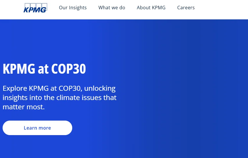 KPMG (Professional Services)