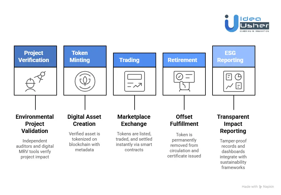 How Does a Carbon Credit and ESG Token Exchange Work?