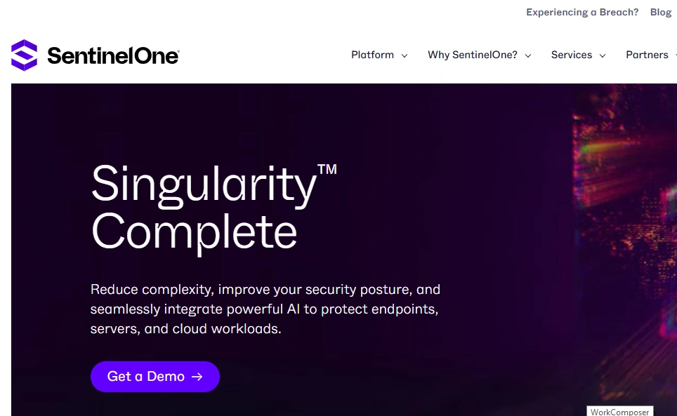 SentinelOne Singularity
