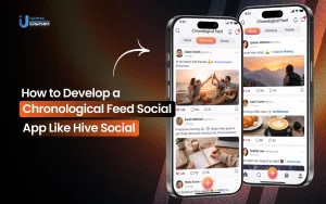 How to Develop a Chronological Feed Social App Like Hive Social