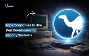 hire Perl developers for legacy systems