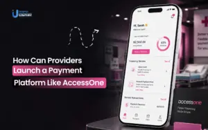 AccessOne like healthcare payment platform development