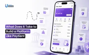 Healthcare payment platform like Paytient development process