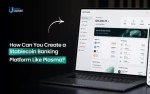 How Can You Create a Stablecoin Banking Platform Like Plasma?