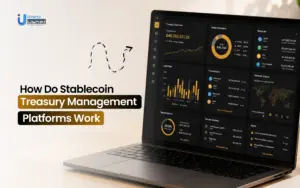 stablecoin treasury management platform development