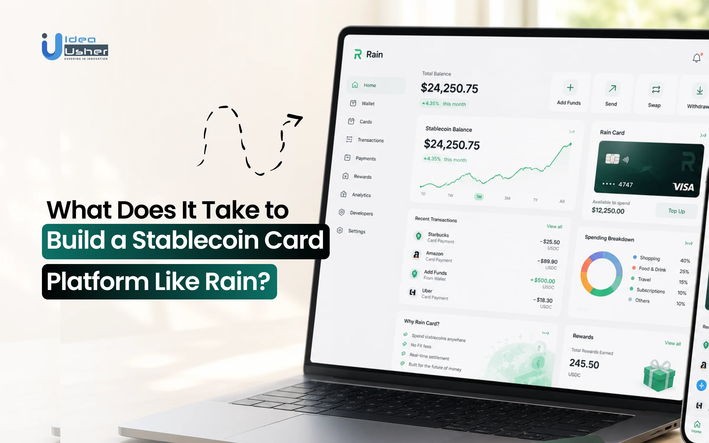 What Does It Take to Build a Stablecoin Card Platform Like Rain?