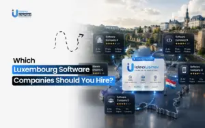 Which Luxembourg Software Companies Should You Hire?