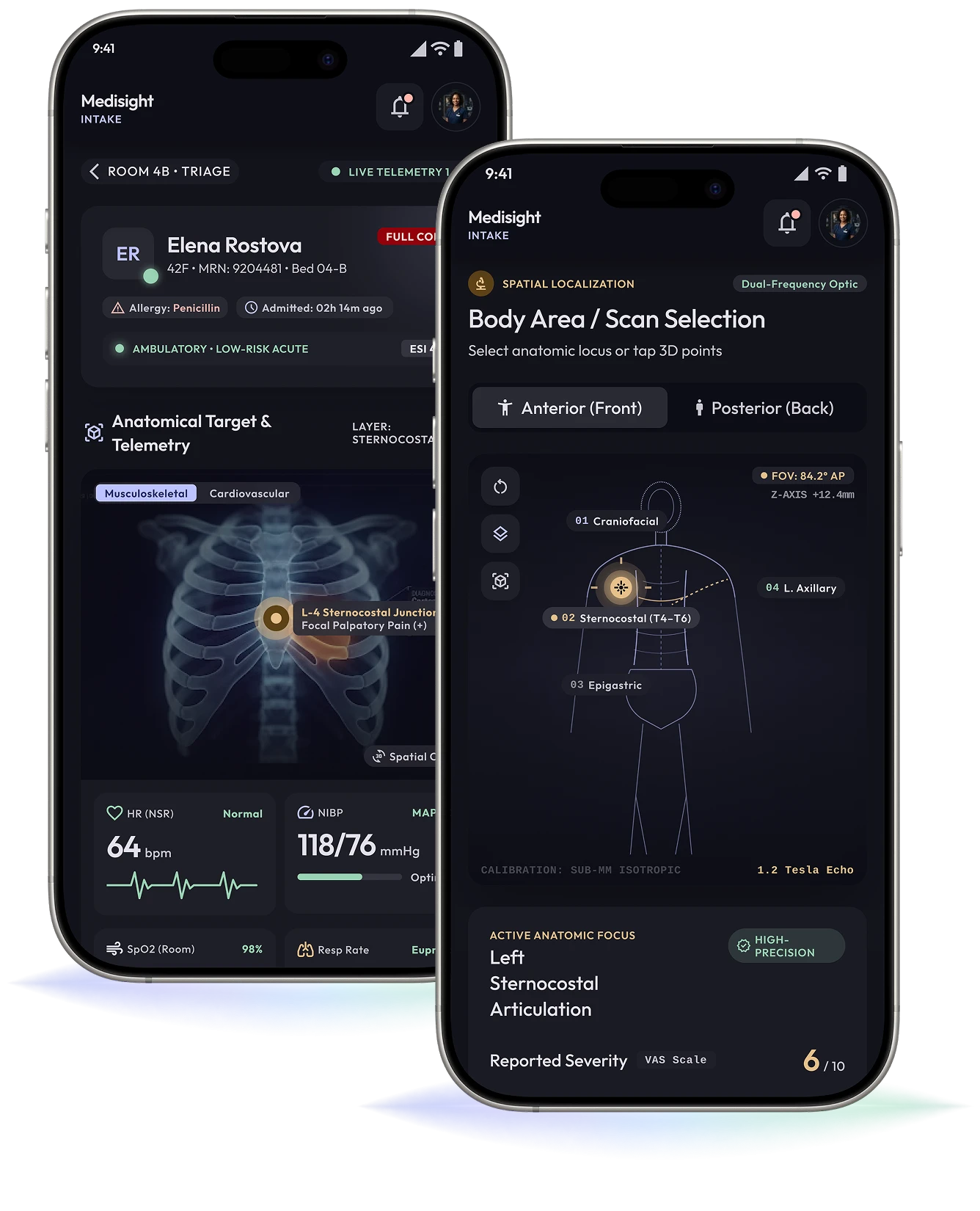 AI symptom assessment and anatomical target selection interface