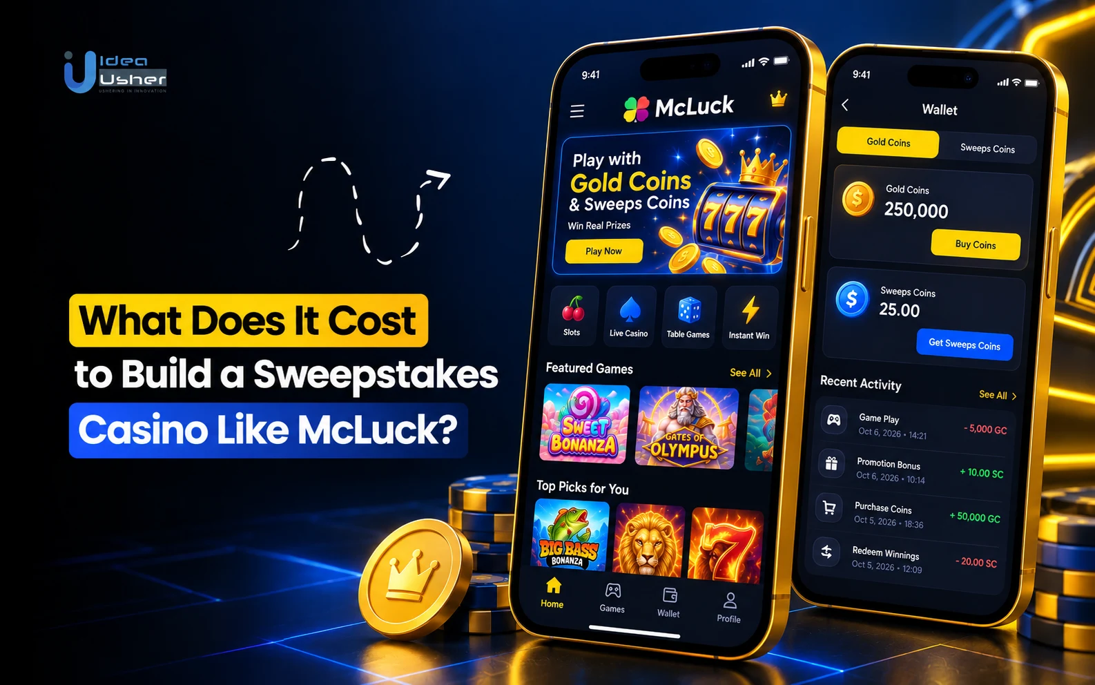 What Does It Cost to Build a Sweepstakes Casino Like McLuck?